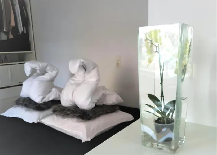 Get-your-flat - Tiny Flat In Gruenderzeithaus, Super Sweet, Kreuzviertel - 50 M2 Eg Haustier Auf Anfrage Daire