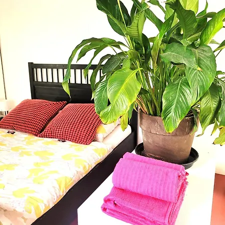 Get-your-flat - Tiny Flat In Gründerzeithaus, Super Sweet, Kreuzviertel - 50 M2 Eg Haustier Auf Anfrage *